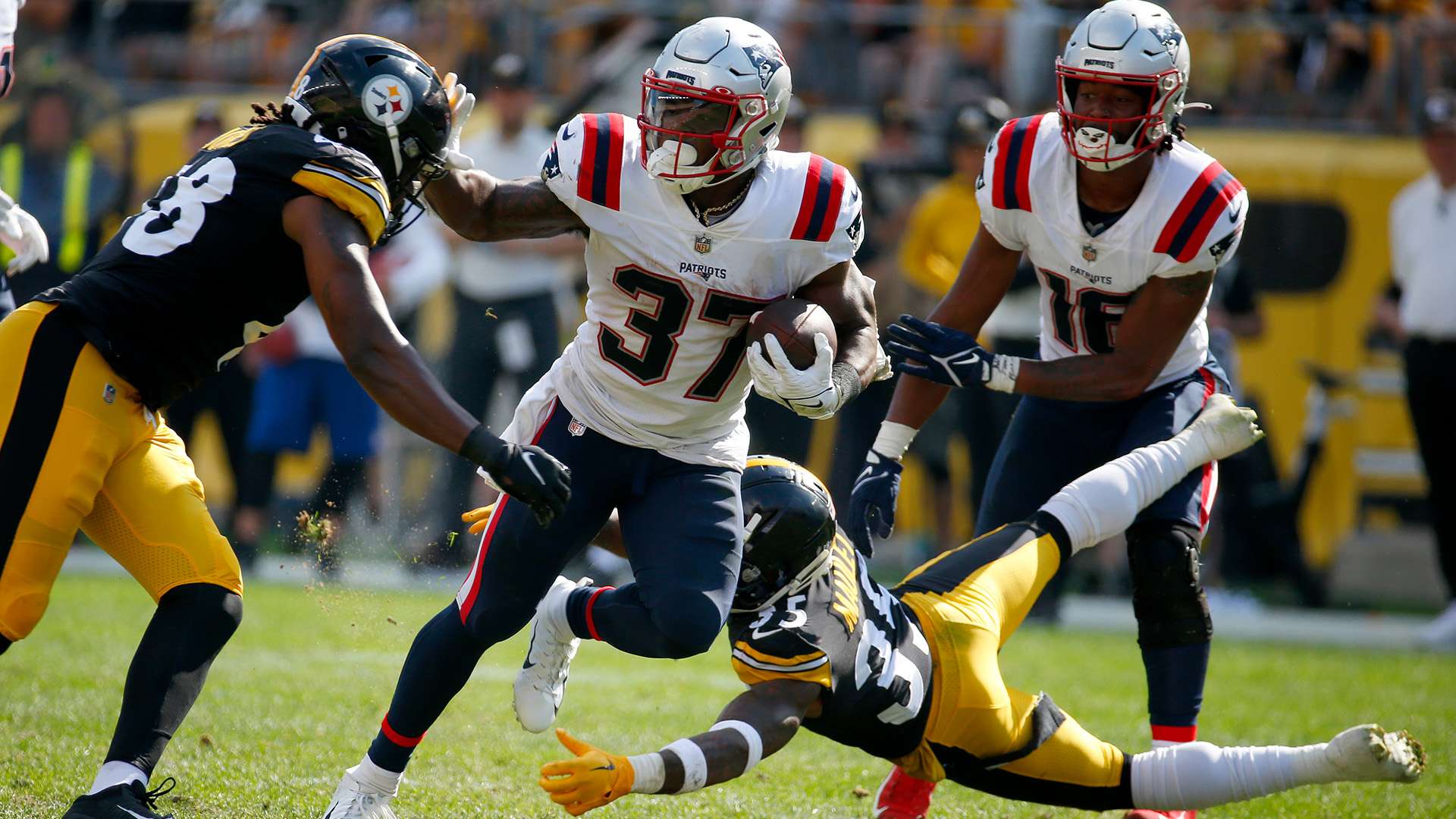 賽的海外華 賽的海外華